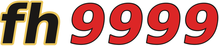 fh9999 logo